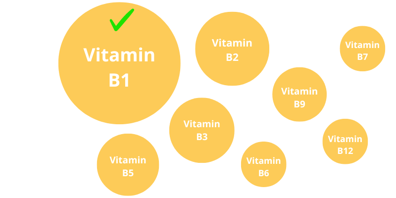 비타민 B1 효능